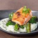 Icelandic Salmon